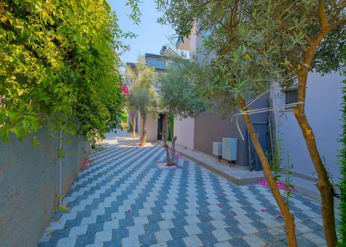 빌라 Alisen 2 페티예